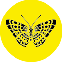 alt ürün - 2